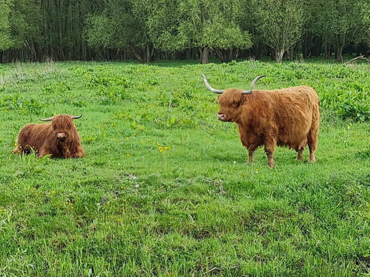 Prinsenbed Leeuwarden Luaran gambar